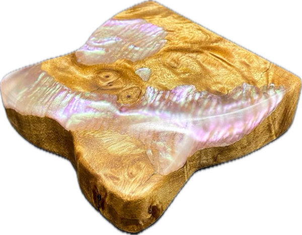 Abalone Widowmaker - Image 2