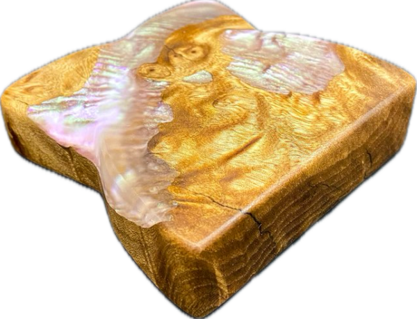 Abalone Widowmaker - Image 3