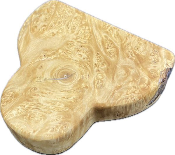 Dreamscape Argo - Image 3